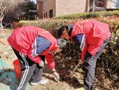 合肥市庐阳区杏林街道上城社区：同植一棵树 共护一片绿  