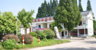 濉溪縣百善鎮創建省級森林村莊 扮靚綠色家園