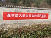 宜秀區(qū)大龍山鎮(zhèn)總鋪社區(qū)：防范于未“燃” 織密清明“防火網(wǎng)”