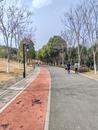 逼近30℃！ 寒潮抵達前，安徽省氣溫繼續沖高