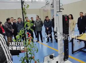 机器人帮你采摘小番茄？首届“乡村振兴展”上亮相单果采摘时间约15秒