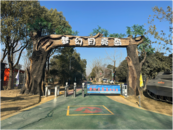 合肥蜀山區打造文旅新地標 “夢幻月亮島”一期即將建成開放