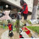 蚌山區數據資源局：黨建引領聚合力 政務服務提效能