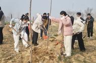 阜陽市互聯網行業青年共植“青年林” 助力生態阜陽建設