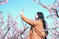 巢湖烔煬第三屆桃花觀賞節(jié)周末開啟