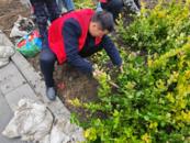 合肥市包河區同安街道：植綠新歲添新彩，共筑綠色家園