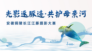 銅陵市：“光影逐豚跡·共護母親河”長江江豚攝影大賽征集期延長通知