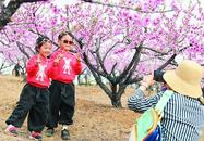 花漾春日醉游人！巢湖2000畝桃花進入盛花期