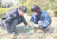 阜陽：2025年白蟻分飛提前 科學應對是關鍵