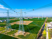 阜陽供電：線路消缺保供電
