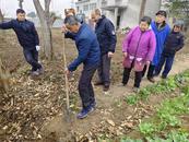 宜秀區(qū)白澤湖下龍華村：銀發(fā)力量激活鄉(xiāng)村治理 