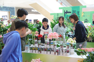 肥西中部花木城“春花展”正在進行