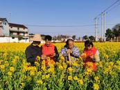 懷寧縣江鎮鎮：志愿宣傳到田間 文明新風入心頭