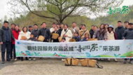 寻味徽茶 | 碧桂园物业安徽区域业主“毛峰头采游”圆满落幕