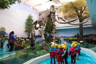 蚌埠五河：參觀博物館 感受淮河文化