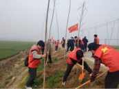 濉溪縣百善鎮(zhèn)義務(wù)植樹 為和美鄉(xiāng)村增綠添彩 