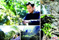 金从华：捻一朵石斛花