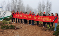 壽縣大順鎮：青年干部的別樣植樹節