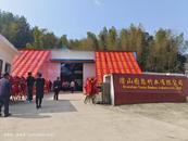 潛山市五廟鄉(xiāng)：翠竹生金，激活鄉(xiāng)村發(fā)展新動能