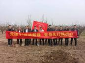 蚌埠国元保险联合市财政局开展“植树节”主题党日活动