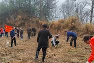 潛山市天柱山鎮：手植一抹綠 播春色滿園