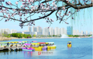 陽光持續在線，阜陽最高氣溫達26℃
