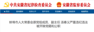 蚌埠市人大常委會原黨組成員湯春義被“雙開”