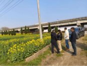 懷寧縣金拱鎮：精準核查油菜種植面積 守牢惠農補貼關口  