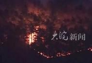 韓國東南部大型山火已造成19人死亡 過火面積已超1.4萬公頃

