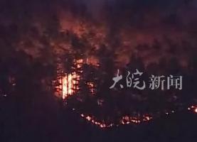 韩国东南部大型山火已造成19人死亡 过火面积已超1.4万公顷
