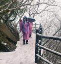 九華山迎來三月春雪 