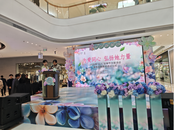 雪華鄉（宏業村街道）婦聯開展“三八”國際婦女節主題活動