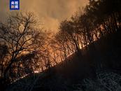 韓國山火已致28人死亡32人受傷