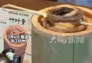 “蛇咖”真有蛇！ 西湖邊一家咖啡店推出“蛇干咖啡” 客人：真是蛇的味道 店家：每天賣出三四十杯
