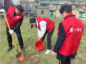 雪華鄉(xiāng)（宏業(yè)村街道）第一社區(qū)新時代文明實踐站：“植”此青綠 共賦“青山”