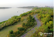 銅陵：改善人居環境共建美麗家園