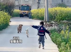 萌娃蹦蹦跳跳去上学 老师满面笑容飞奔相迎  果然快乐会传染！
