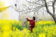 蚌埠：以花為“媒”  激活鄉(xiāng)村“春游經(jīng)濟(jì)”
