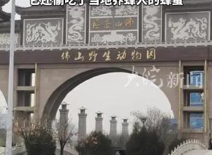 河北邯郸黑熊出逃的通风口已被水泥封死，动物园加装8个摄像头