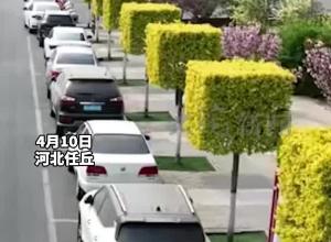 “我的世界”照进现实？河北一地路旁惊现方形绿化树 城管回应 ：为避免接触高压线
