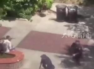 美国佛罗里达州立大学发生枪击案 致2死6伤枪手20岁，为副警长之子