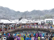 半山飛雪半山春