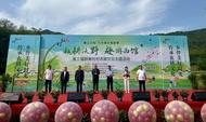 游客“浑水摸鱼”乐翻天！池州青阳挖掘农耕文化新内涵，推动农文旅深度融合
