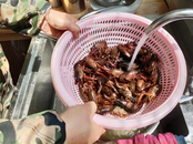 唯有美食不可辜負(fù)，男子堅(jiān)持烹飪龍蝦30年