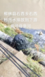 山西吕梁一地被曝污水直排黄河支流 部门回应：不是工业废水