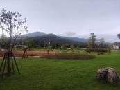 宜秀區(qū)大龍山鎮(zhèn)總鋪社區(qū)：踐行“兩山”理念 繪就生態(tài)宜居新畫卷?