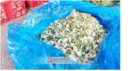 阜陽：槐花集中上市 價格低于往年