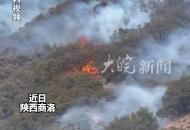上墳導致失火的老人，燒死村民67只羊無錢賠；鎮政府：準備補償村民8萬元，對方嫌少沒談妥