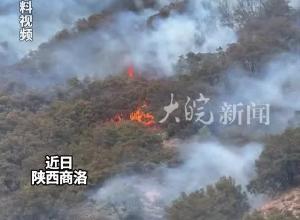 上坟导致失火的老人，烧死村民67只羊无钱赔；镇政府：准备补偿村民8万元，对方嫌少没谈妥