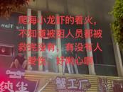 宜宾一龙虾店发生火灾顾客二楼逃生  属地回应：无人员被困